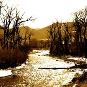 Img_0193_card