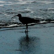 Img_8517_card