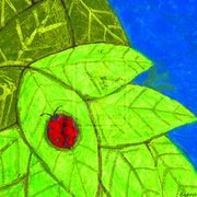 Lady_bug_by_bennette-d3bodiw_card