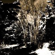 Img_9653_card