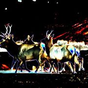 Img_9061_card