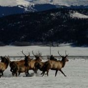 Img_9051_card