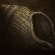 Wellhorn_2012_card
