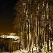 Img_9034_card