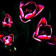 Img_1745_card