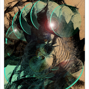 31c_small_card