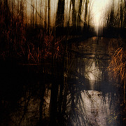 0176_card