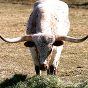 Img_1438_card