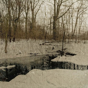 049_card