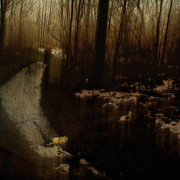 0171_card