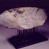 Layhimdown_thumb