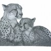 Cheetah_and_cub_thumb