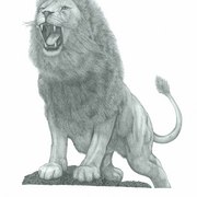 Lion_card