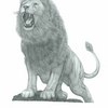 Lion_thumb
