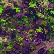 100_0202_card