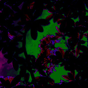 Aglow_card