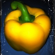 Photo_card