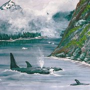 Alaska_card