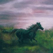 Black_pony_running_card