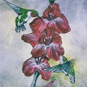 Busy_birds_card
