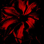Red_flame_card