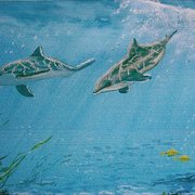 Dolphins_card