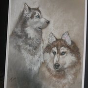 Sled_dogs_card