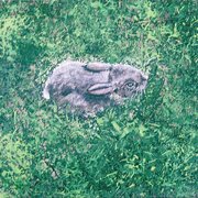 Bunny_in_the_grass_card