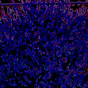 Blue_splash_card
