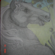 Poze_282_card