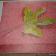Poze_283_card