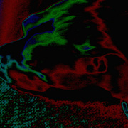 Doginmotion_card