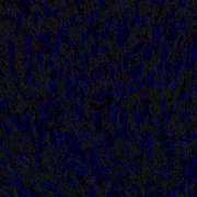Photob_card