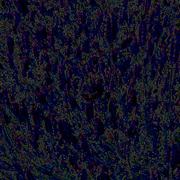 Photoc_card