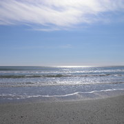 P2252411_card