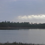 P2212388_card