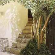 Stairs_in_the_sun_at_bran_25x35_card