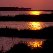 Tramonto_21_card