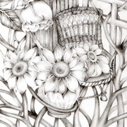 Img012_card