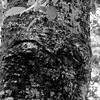 Img_0807_thumb