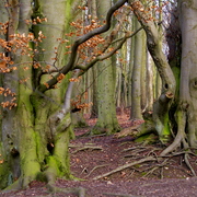 Imgp9133_card
