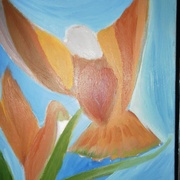 Sam_4300_card