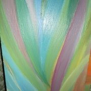 Sam_4289_card