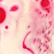 Img_7500_card