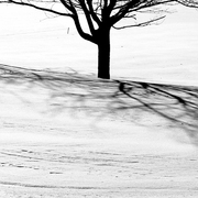Winter_shadows_card