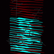120226b_card