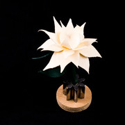 Vinyl_flowers_008_card