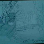 Deer_card