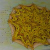 Img_20120209_150955_thumb