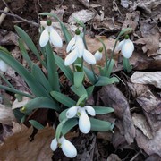 Img_20120221_134109_card